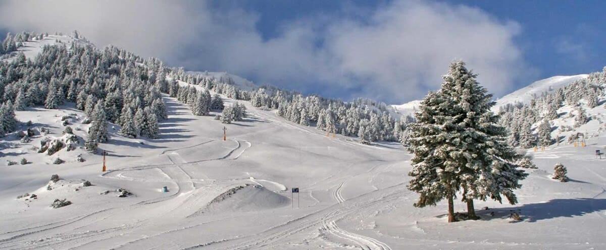 Forest Cosy House - Lagkadia Amazing View ภายนอก รูปภาพ